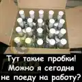 60246500215.png