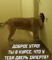 61219587916.png