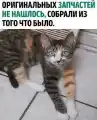 61230092831.png