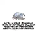 62137254668.png