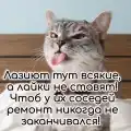 63100079994.png
