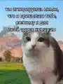 63100079998.png