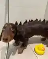 65613603936.png