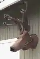 67308878621.png