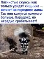 67950907038.png
