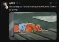 68802584132.png