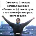 68804848356.png