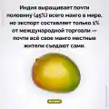 68804848401.png