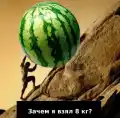 70465228723.png