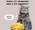 70656552290.png
