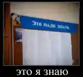 70656552297.png