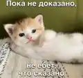 70656552302.png