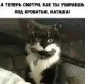 73297259936.png