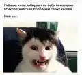 73297259953.png