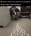 73329260456.png