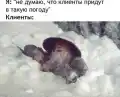 73342861427.png