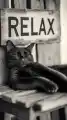 74926878620.png