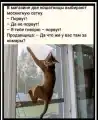 77647715888.png