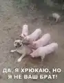 77647715940.png