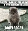 77706638373.png