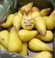 77706638404.png
