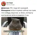 8007636175274.jpg