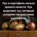 81013062282.png