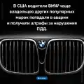 81013062387.png