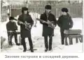81021788308.png