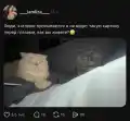 81030359867.png