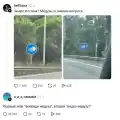 81030359916.png