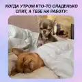 8235132507227.jpg