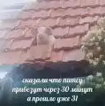 85122504657.png