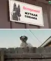 85253817659.png