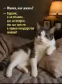 85348062351.png