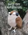 85364357719.png