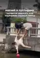 90353967764.png