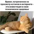 90353967773.png
