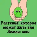 90372688603.png