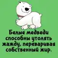 90390118519.png