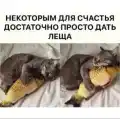 90602868185.png
