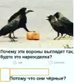 90606725802.png