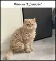 90606725810.png
