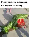 91341483269.png