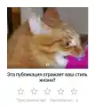 92034433152.png