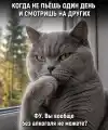 94093881979.png