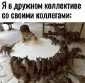 95597771506.png