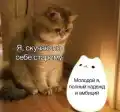 95808882406.png