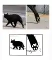 17765983246547.png