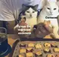 17768885033745.png